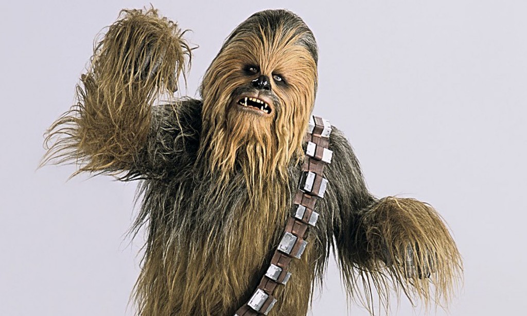 The costume of Chewbacca requires more elaborateness than you'd think