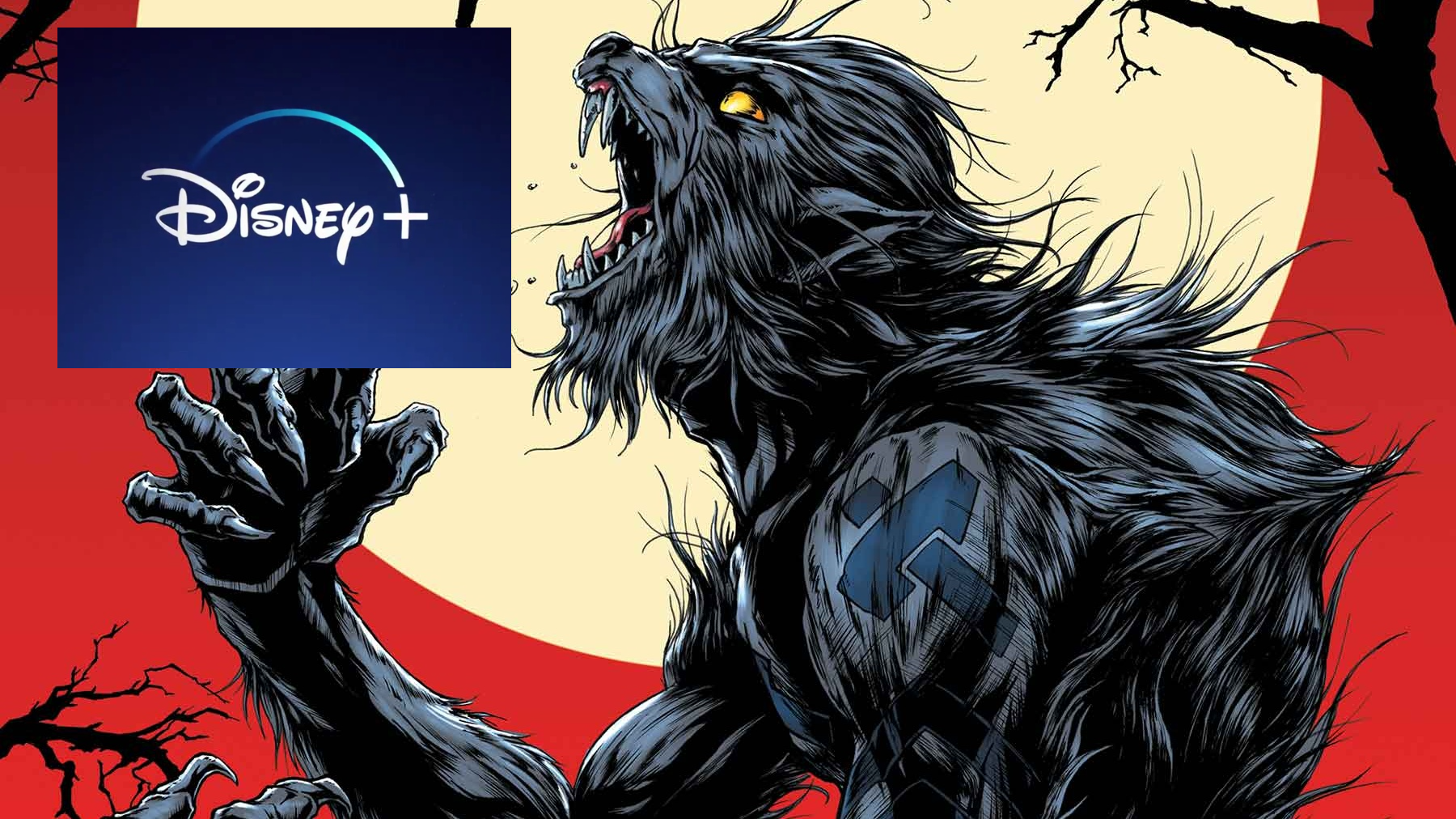 Disney+ Reveals New MCU Timeline Order With Werewolf by Night