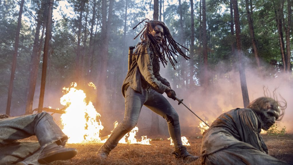 The Walking Dead - AMC