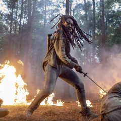 The Walking Dead - AMC