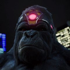 Gorilla Grodd in The Flash