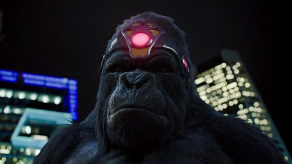 Gorilla Grodd in The Flash